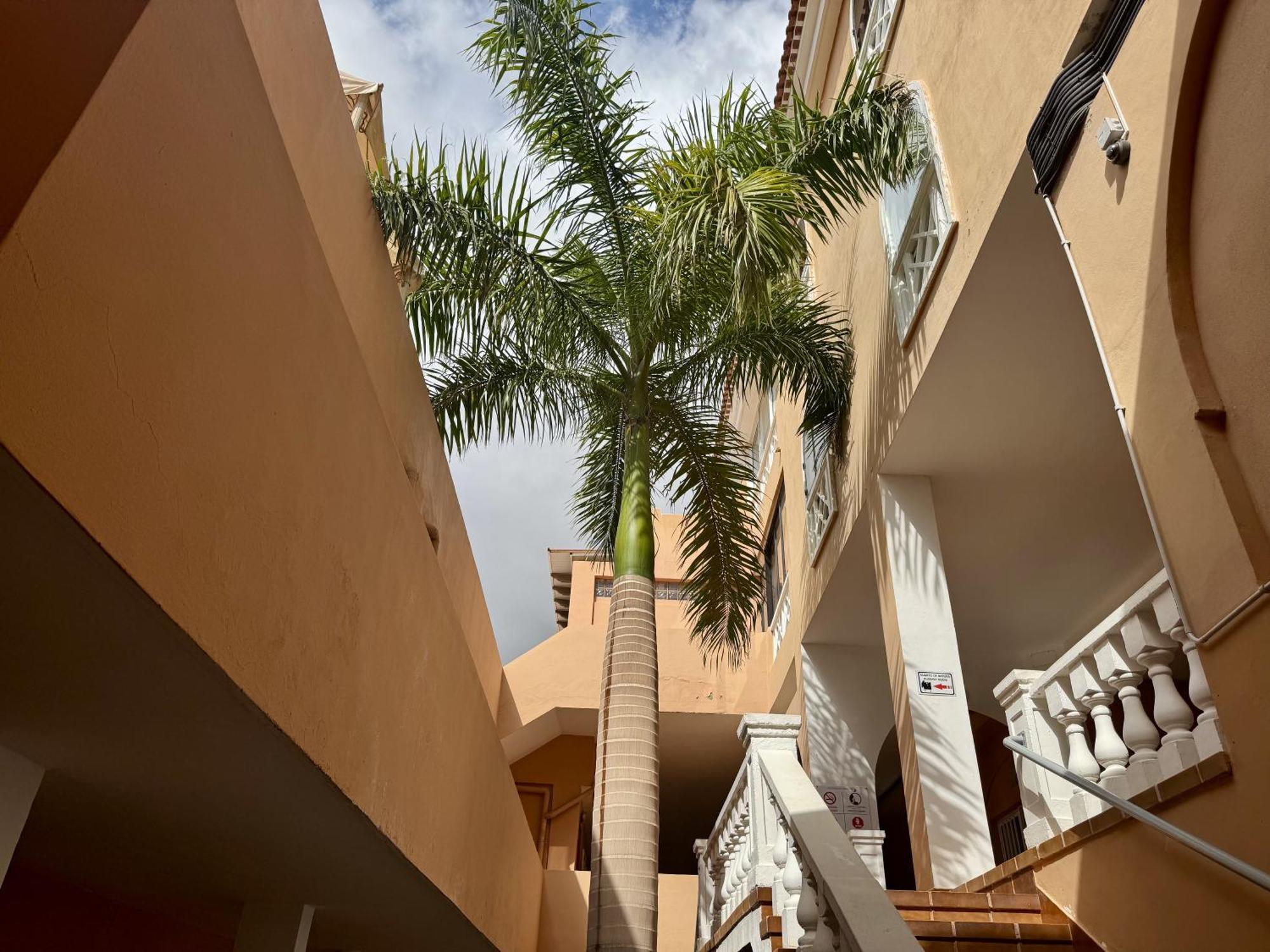 Panoramic Paradise Tenerife Ocean View & Comfort Costa Adeje (Tenerife)