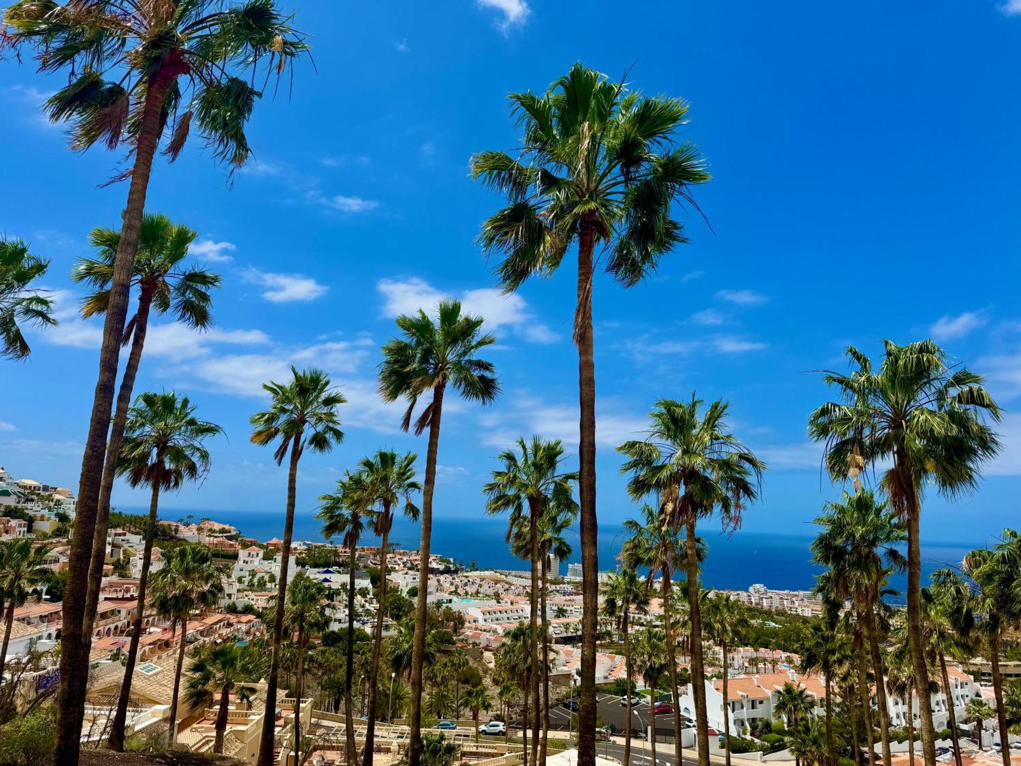 Appartamento Panoramic Paradise Tenerife Ocean View & Comfort *